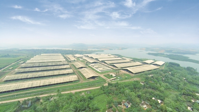Tập đoàn TH sở hữu cụm trang trại tập trung khép kín lớn nhất thế giới tại Nghệ An (Liên minh Kỷ lục thế giới xác nhận năm 2020). Ảnh: Tập đoàn TH